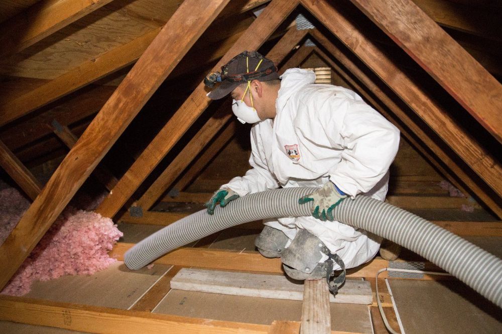 A worker in a protective suit and mask inspects an attic while using a vacuum hose to remove insulation.